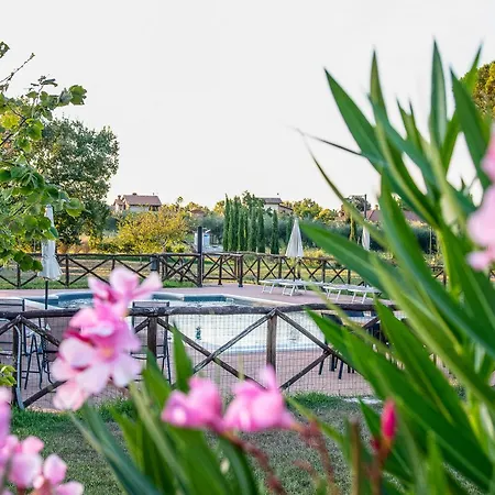 La Pergola Appartamento Castiglione del Lago